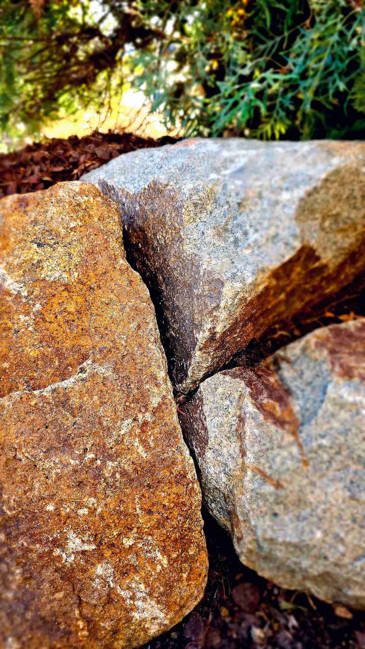 A stylish garden with a rock wall and gravel path.