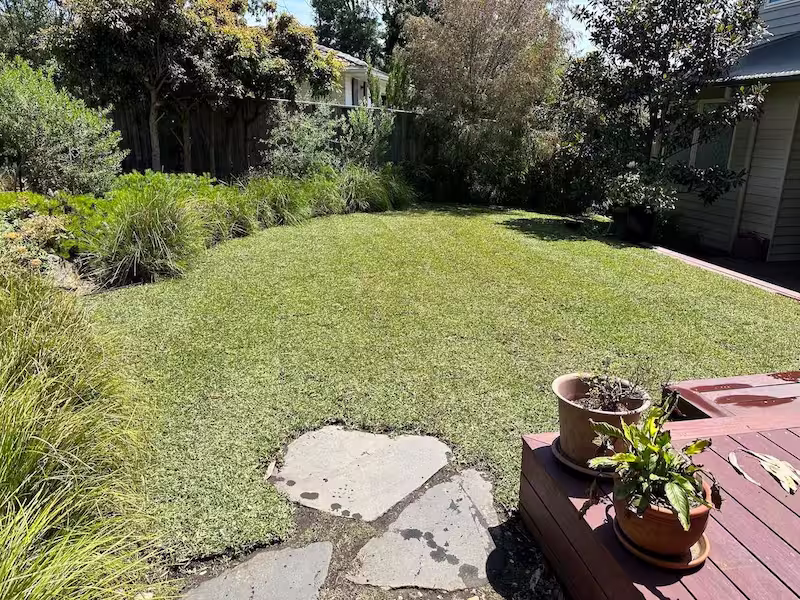 Completed lawn project
